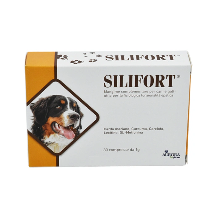 SILIFORT 30 CPR 1G