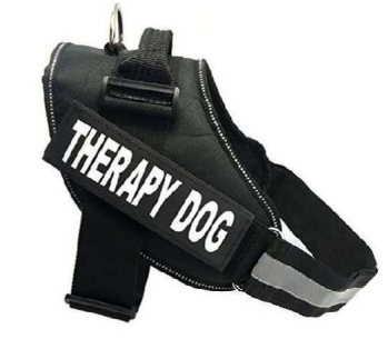 therapy dog pettorina